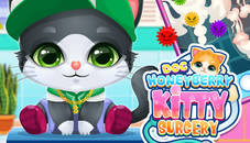 Doc HoneyBerry Kitty Surgery