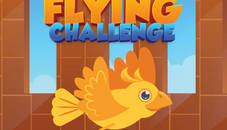 Flying Challenge